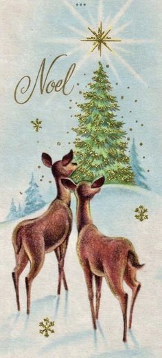 two deers in front of a christmas tree with the words noel written on it