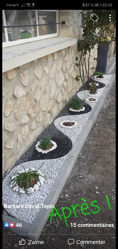 an outdoor garden area with rocks and gravel