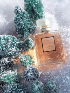 a bottle of perfume sitting on top of snow covered ground next to evergreens and pine cones