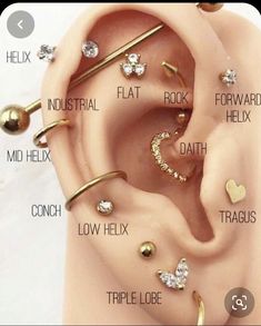 an ear is shown with different piercings on the inside of it, and there are several options to choose from