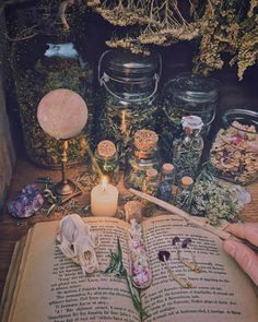 Green Witch Aesthetic, Witch Room, Witch Core, Fotografi Digital, Magic Aesthetic, Witch Magic, Season Of The Witch