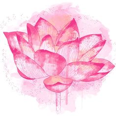 watercolor painting of a pink lotus flower