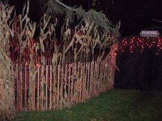 the fence is decorated with lights and corn stalks