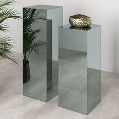 two mirrored pedestals in front of a potted plant on the floor next to each other