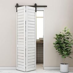 a white room divider sitting next to a potted plant