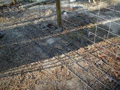 an animal in a fenced off area next to a tree and some rocks on the ground