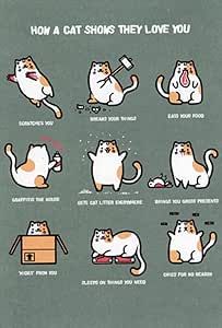 an image of cats doing different things in the same place with caption that reads, how a cat shows they love you