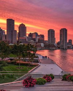 the sun is setting over a city with flowers in front of it and people walking on the sidewalk