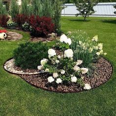 a flower bed in the middle of a lawn with white flowers and greenery around it