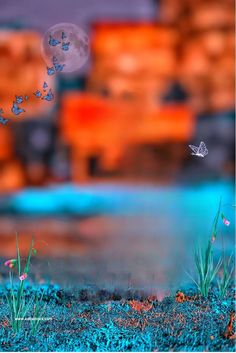 some grass and flowers in front of a blue sky with a butterfly flying over it