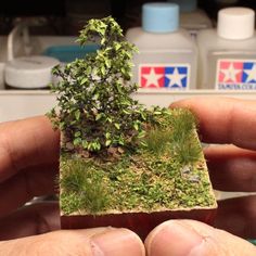 someone is holding a tiny house made out of moss