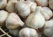 there are many bulbs of garlic in the basket