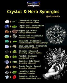 Crystal And Herb Pairings, Psychic Herbs, Green Witch Spells, Crystals For Plants, Crystal Pairings, Pagan Spirituality, Healing Journaling, Grimoire Book