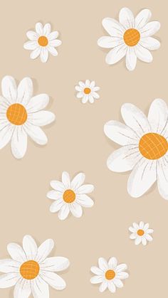 white daisies with orange centers on a beige background, in the shape of flowers