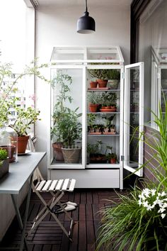 an outdoor room with plants in it