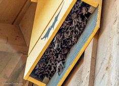 a beehive is hanging from the side of a building