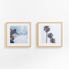 two framed photographs hang on the wall next to each other, with palm trees in the background