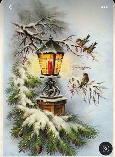 a christmas card with birds and a lamp on top of snow covered pine tree branches