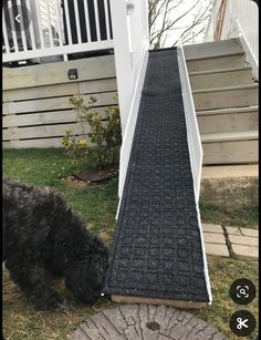 a black dog is sniffing at the steps leading up to a porch with white railings