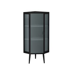 a tall black cabinet with glass doors on the front and bottom shelves, against a white background