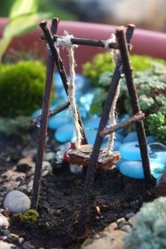 a close up of a plant in a pot filled with dirt and rocks next to plants