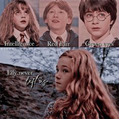 harry potter and hermione's hair are the same color as each other