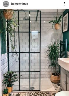 the bathroom is decorated in white and green colors with plants on the floor, shower stall, and sink