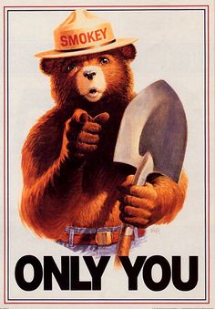 an ad for smokey bear is featured in the article, only you on twitter