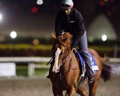 a man riding on the back of a brown and white horse in an arena at night