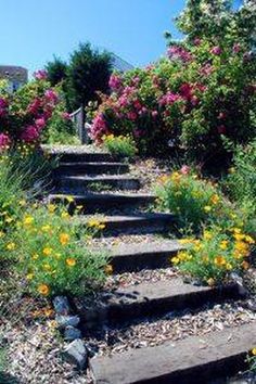 the steps lead up to some colorful flowers