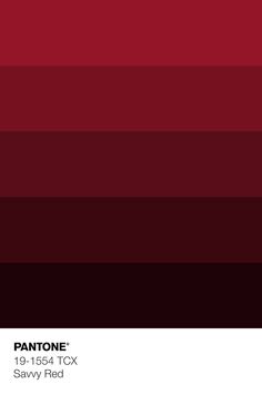 pantone's red and black color scheme is shown in this image, it looks like