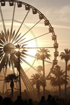 a ferris wheel with palm trees in the foreground and people standing around it at sunset