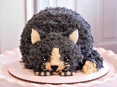 a cake made to look like a cat