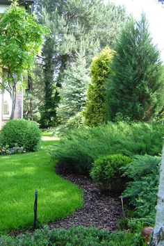 a lush green lawn surrounded by trees and bushes