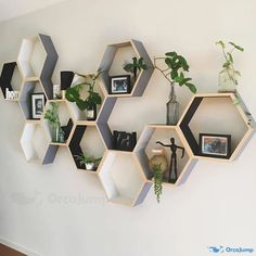 hexagonal shelves with plants and pictures on them are mounted to the white wall