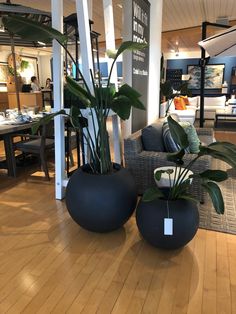 two large black vases sitting on top of a wooden floor