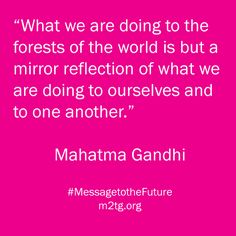 a pink background with the quote what we are doing to the forests of the world is but a mirror reflection of what we are doing to ourselves and to one another