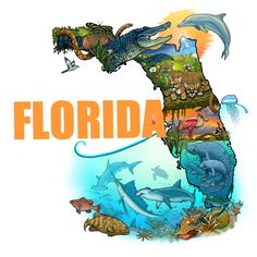 the florida state map with dolphins and other marine creatures in it's capital letters