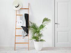 a white room with a wooden ladder and a potted plant next to the door