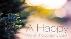 a happy world photography day greeting card with pine needles and blurry sunlight in the background