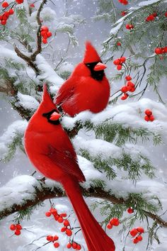 two red birds perched on top of a tree branch covered in snow and berries,