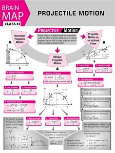 the brain map shows how to use projection