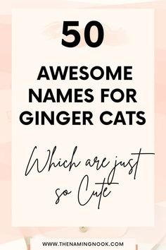 the words, 50 awesome names for ginger cats which are just so cute in black and white