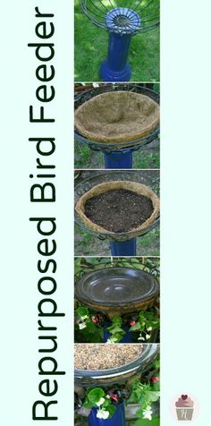 the instructions for how to make a bird feeder