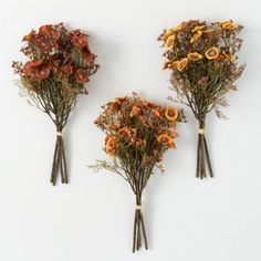 three dried flowers sitting on top of each other