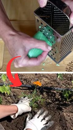 two pictures side by side, one with gardening gloves and the other with garden tools