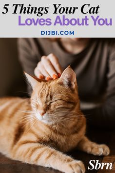 a woman petting a cat with the words 5 things your cat loves about you