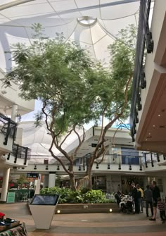 the inside of a shopping mall with people walking around and trees in the middle of it