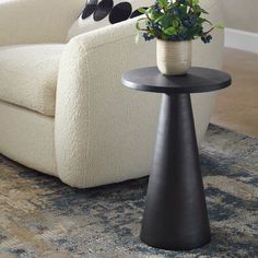 a living room with a couch, chair and potted plant on the end table