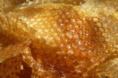 close up view of honeycombs with water droplets on the top and bottom part